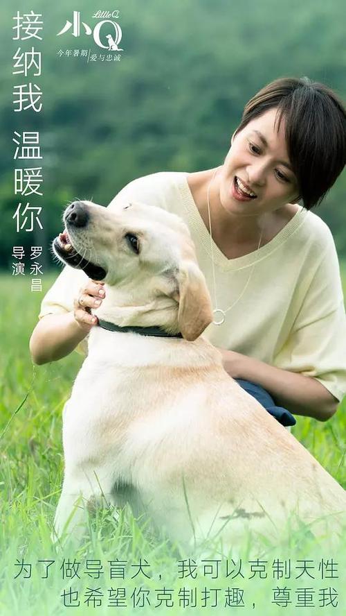 哪里可以办诺森比亚大学文凭毕业证